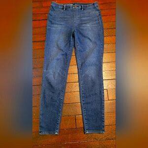 Tabots Flawless Pull On Jeggings